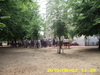 Misi atya
